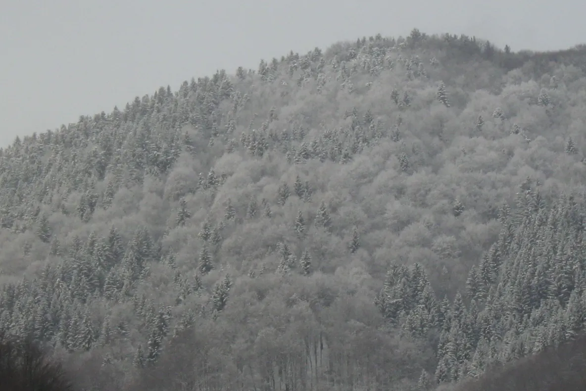 Muntii Vrancei, iarna 