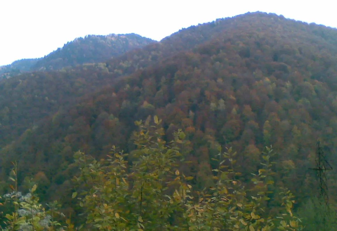 Frumusețea naturii în munții Retezat