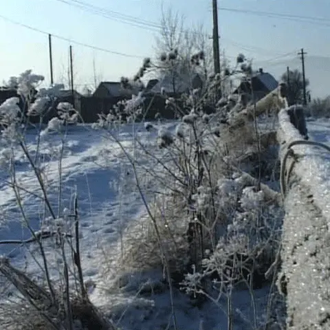 Duminică se anunţă cea mai friguroasă zi a acestei ierni 