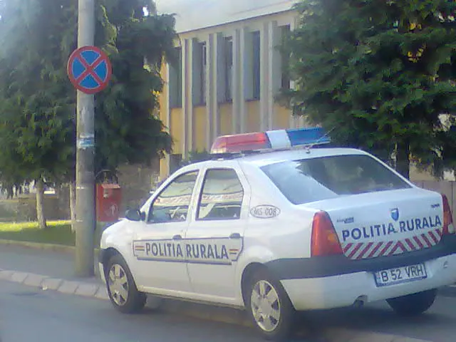 Poliţişti şemcheri
