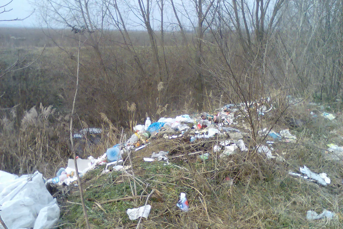 Gunoaie peste tot în Dragomireşti-Vale