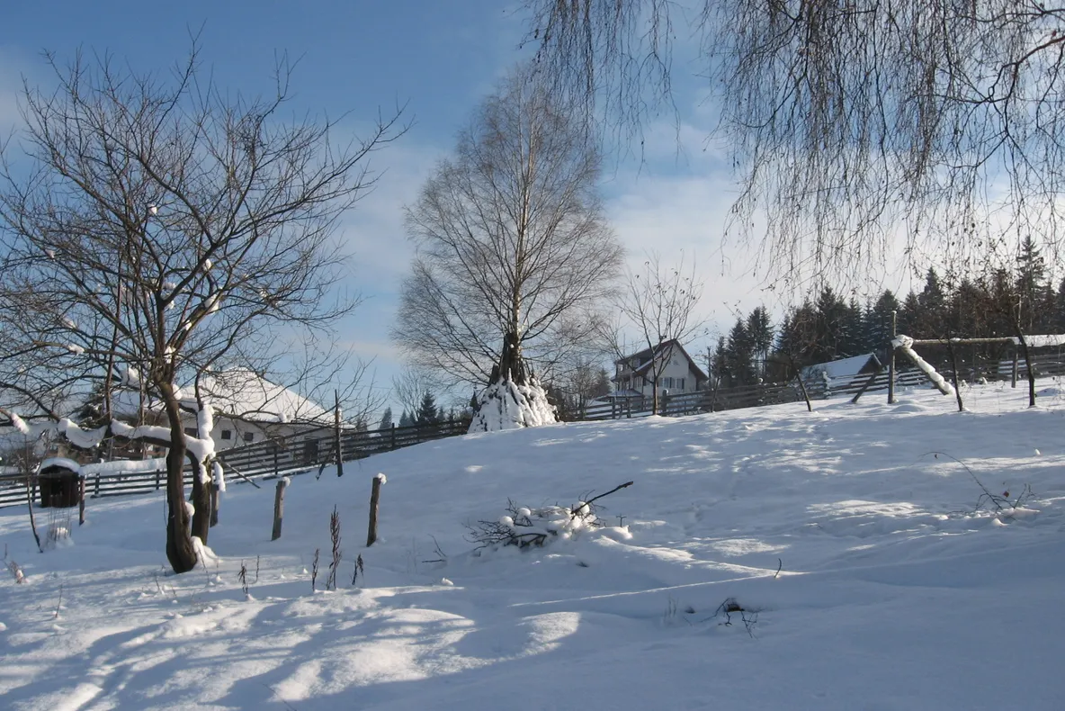 Iarna