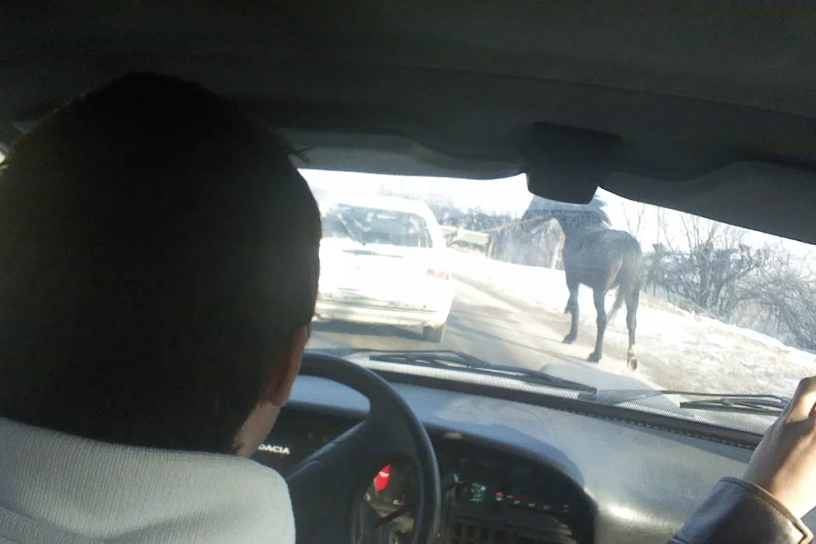 Cu calul la plimbare