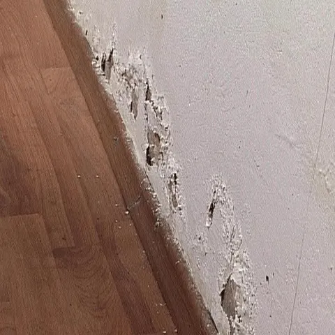 Un sfert dintre posturile de poliţie sunt în stare avansată de degradare