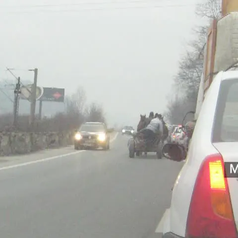 Un căruţaş a încercat să evite pe contrasens o coloană de maşini 