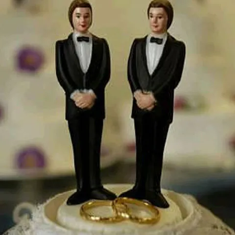 PE recomandă ţărilor UE, inclusiv României, să accepte mariajele gay