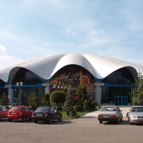 Curtea de Conturi impută pierderi de sute de mii de lei conducerii Circului Globus  