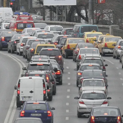 Berlinul oferă 2.500 euro pentru casarea unei rable