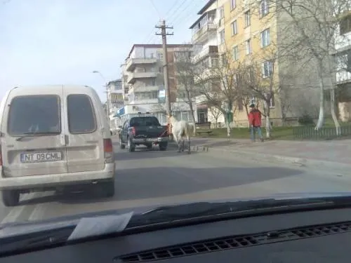 Cal tras de maşină