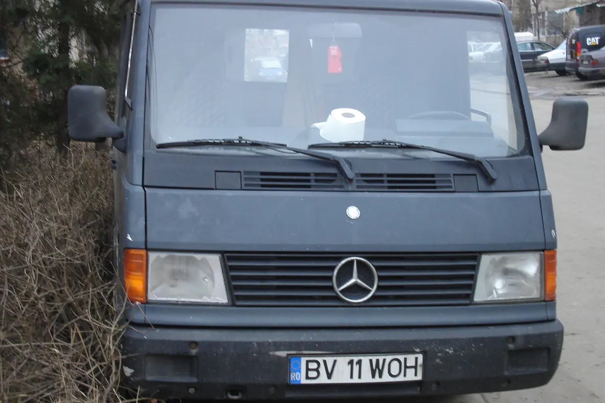 Maşină parcată în boscheţi