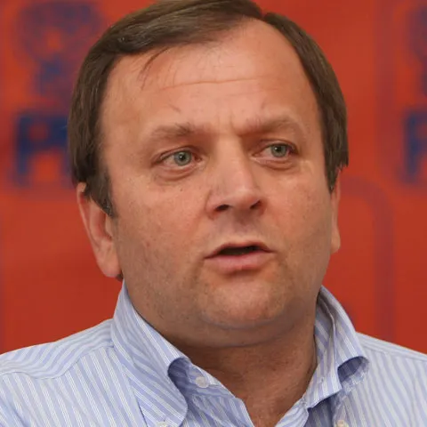PD-L va înfiinţa o comisie de selecţie a candidaţilor la europarlamentare