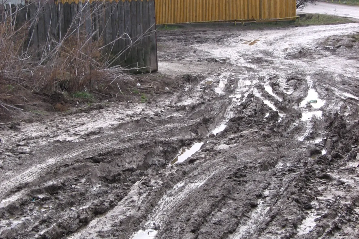 Strada Plopii Fără soţ din Iaşi