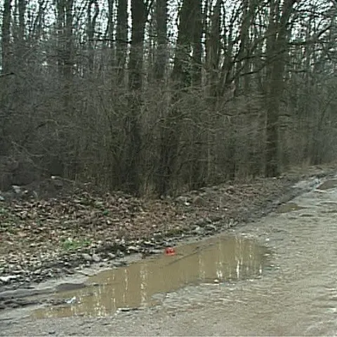Autorităţile au avizat construcţia de locuinţe în pădurea Băneasa 