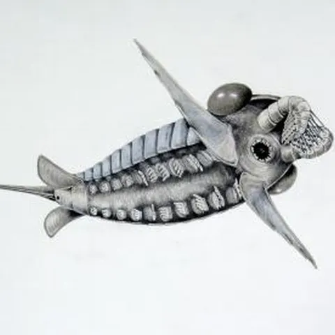 O fosilă veche de 390 de milioane a dezvăluit originea cleştilor scorpionilor şi a crabilor