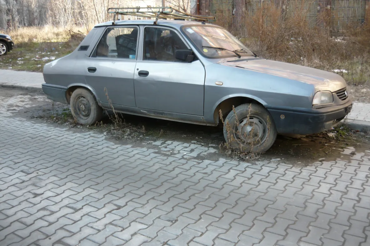 Programul Rabla a prins rădăcini