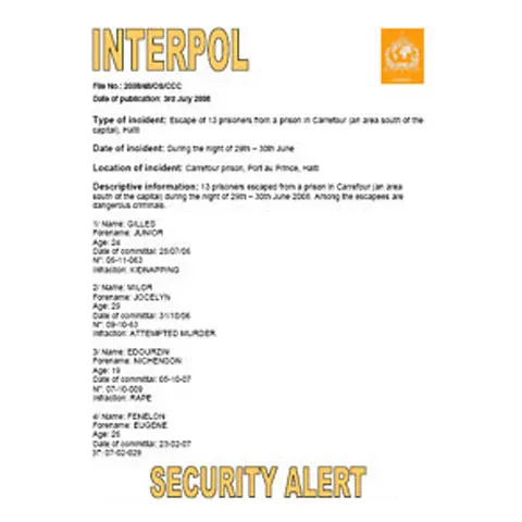 Interpolul a lansat o alertă mondială cu privire la 85 de suspecţi de terorism