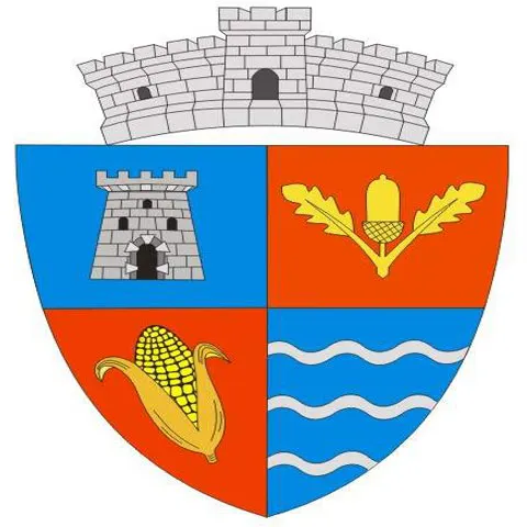 Primăriile din principalele oraşe
