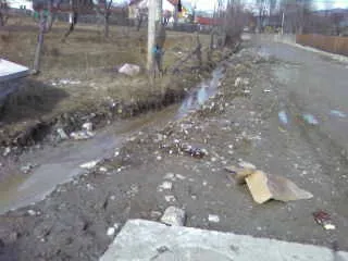 Prinţ şi cerşetor