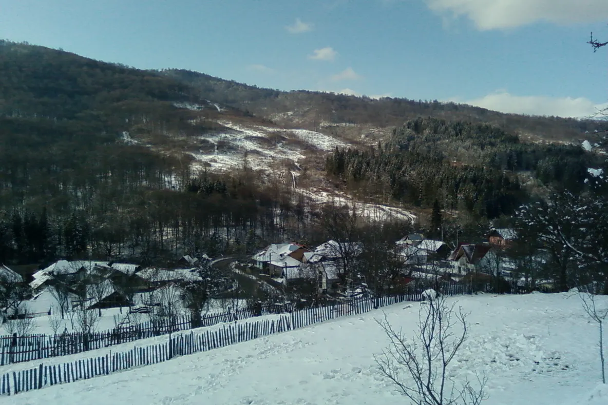 Defrișare în masă