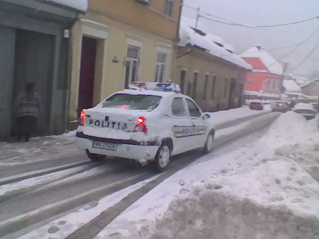 Ninge de 48 de ore în Caraş-Severin