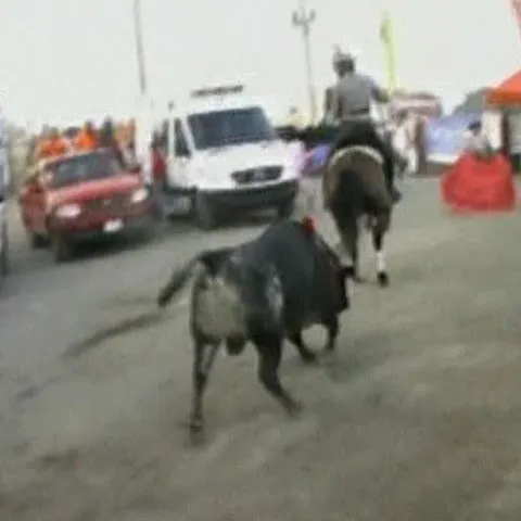 O femeie a fost lovită de un taur care urma să lupte într-o corrida