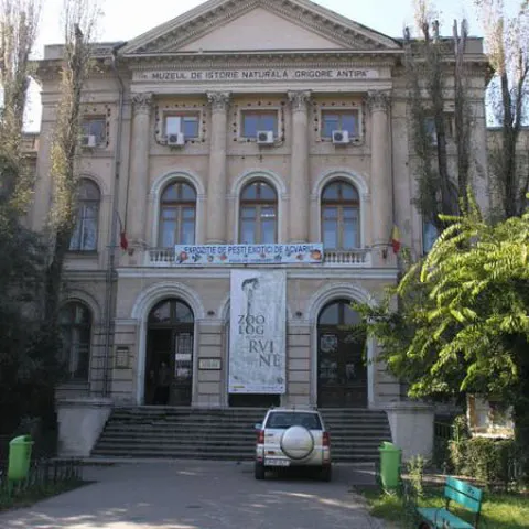 Renovarea muzeului Antipa nu afectează exponatele, potrivit conducerii instituţiei