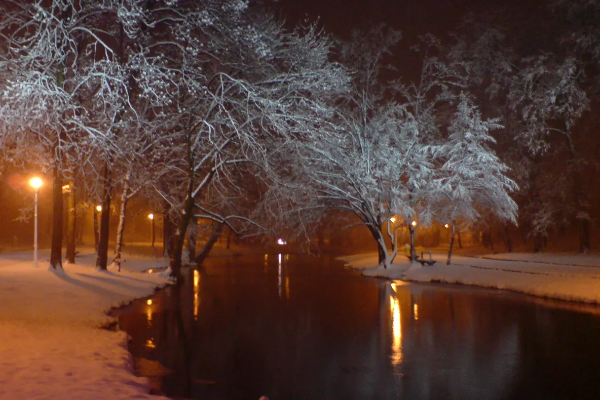 Parcul Nicolae Romanescu, ninsoarea din 2009