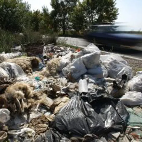 La groapa de gunoi din Timişoara se mai aruncă încă gunoaie menajere 