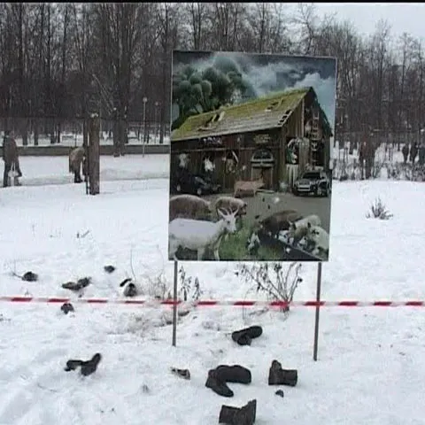 Letonii au aruncat cu ghetele într-un panou cu imaginea parlamentului. VEZI VIDEO
