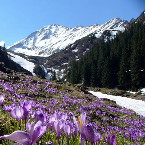 Martie a fost o lună capricioasă, cu ploi şi chiar ninsori la munte, dar şi cu temperaturi de până la 25 de grade Celsius