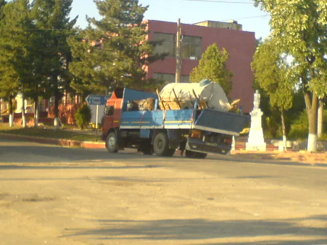 O căruţă, cu cai cu tot, încărcată într-o remorcă - VEZI FOTO