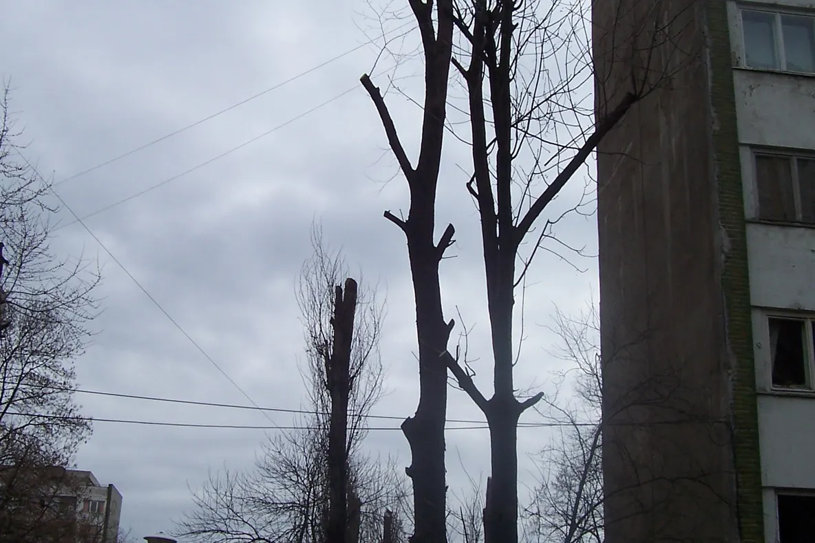 Pereţii unui bloc din bucureşti stru să cadă