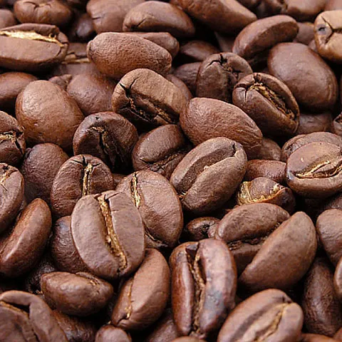 Cafeaua, cea mai nouă sursă de biocombustibil