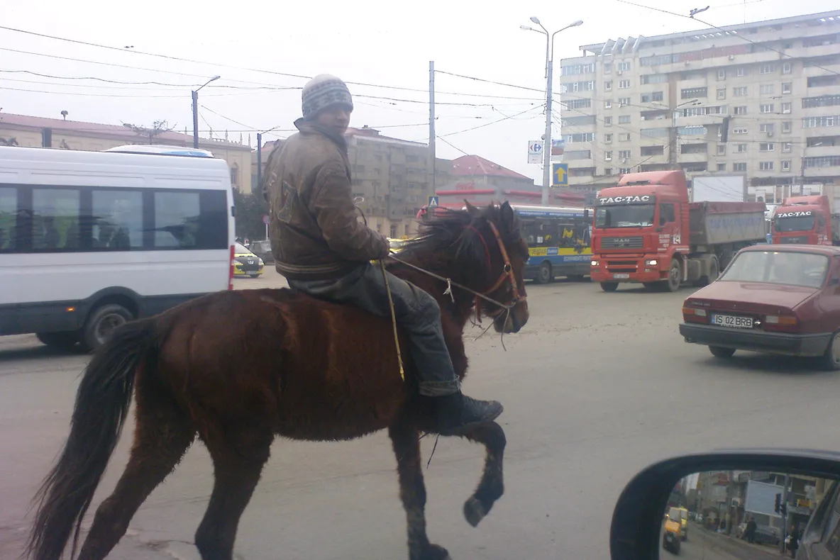 Imagini din Iaşi, poliţia şi calul putere