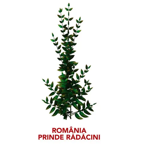 Realitatea TV reia programul "România prinde rădăcini" 