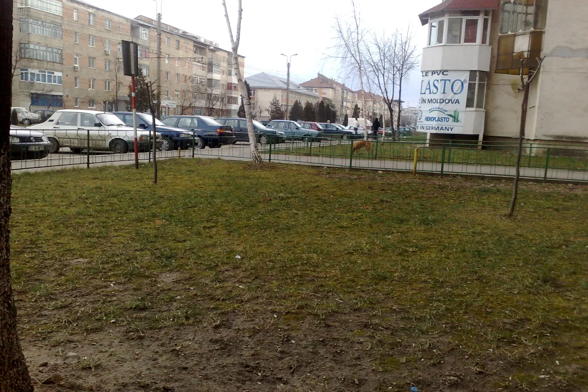Zăpadă la Botoşani