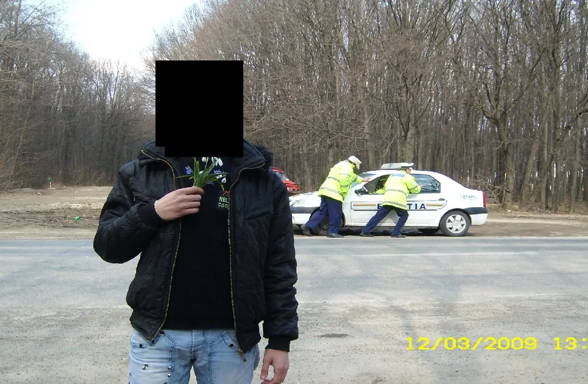 La cules de ghiocei, cu poliţia printre ei