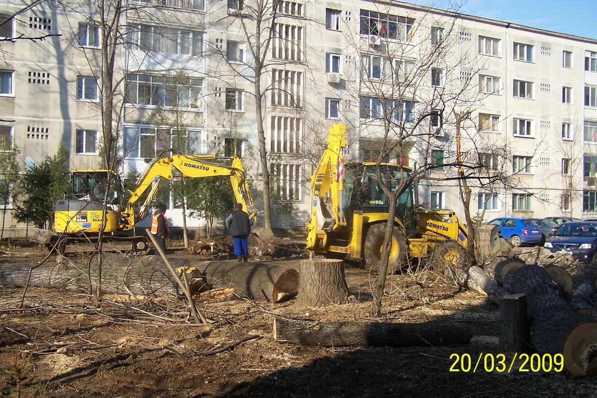 Tăierea copacilor în sectorul 4