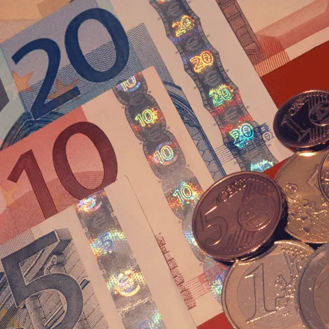 Berceanu: Suma despre care s-a discutat cu FMI este vreo 19 miliarde de euro