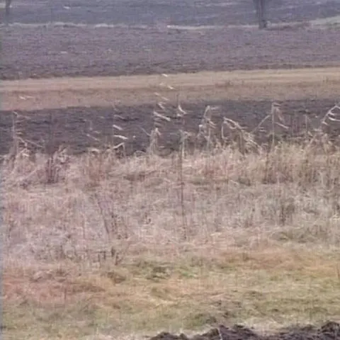 Ţăranii din Bistriţa-Năsăud nu au reuşit să îşi semene grădinile