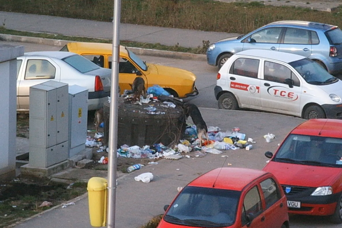 Gunoaie în cartierul ANL, Brâncuşi