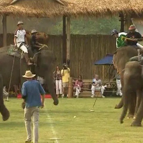 Turneul anual de polo pe elefanţi a început cu fast în Thailanda
