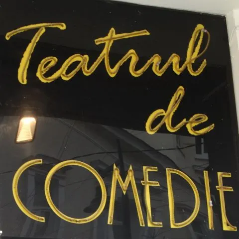 "Casa Zoikăi", în regia lui Tocilescu, va avea premieră duminică, pe scena Teatrului de Comedie