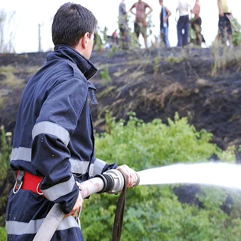 Un incendiu de vegetaţie a îngreunat circulaţia pe drumul care leagă Ploieştiul de Buzău