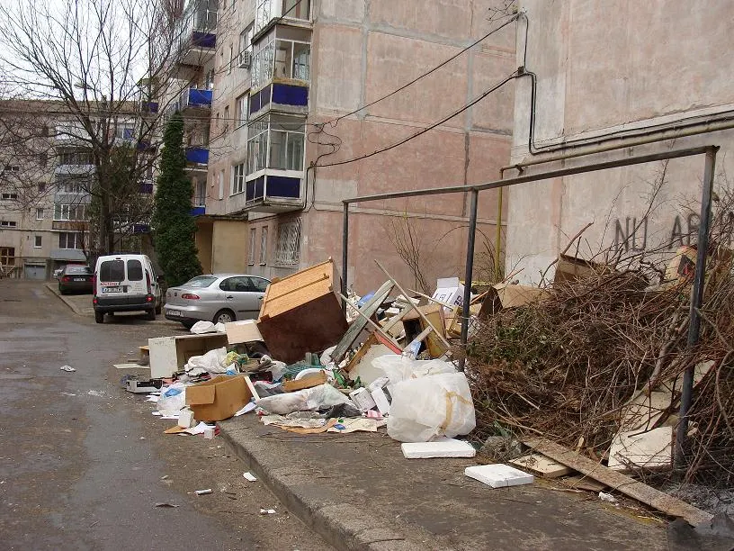 Mormane de gunoi la Timișoara