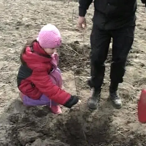 250 de pompieri din Galaţi au plantat 6.000 de plopi albi 