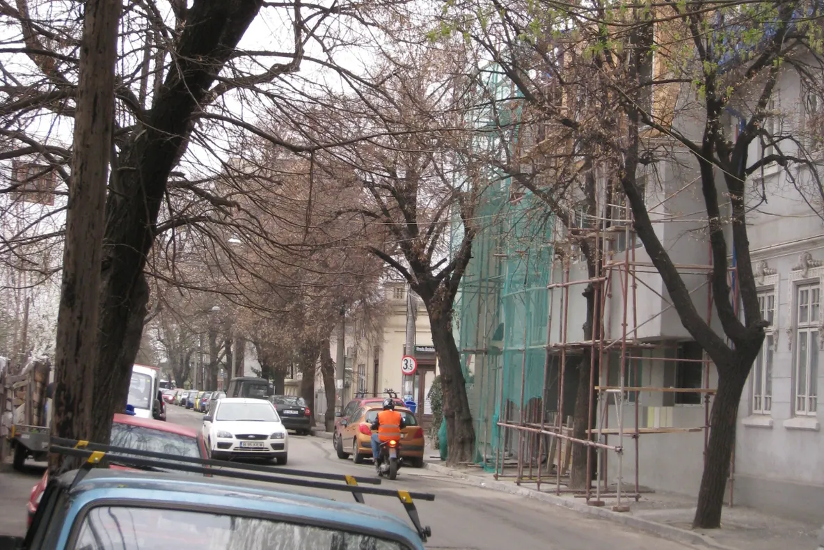 Schelele printre copacii din Capitală