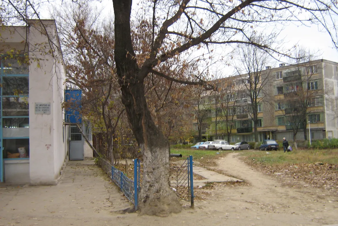 Gardul şi pomul