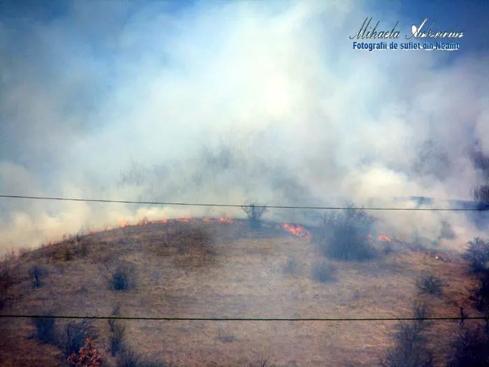 Incendiu de vegetaţie la ieşirea din Piatra Neamţ