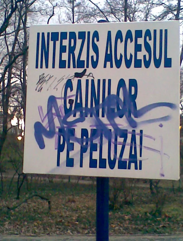 Interzis accesul găinilor pe peluză